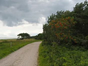 Halshuisene + Enebaerodde Beach (Denemarken)